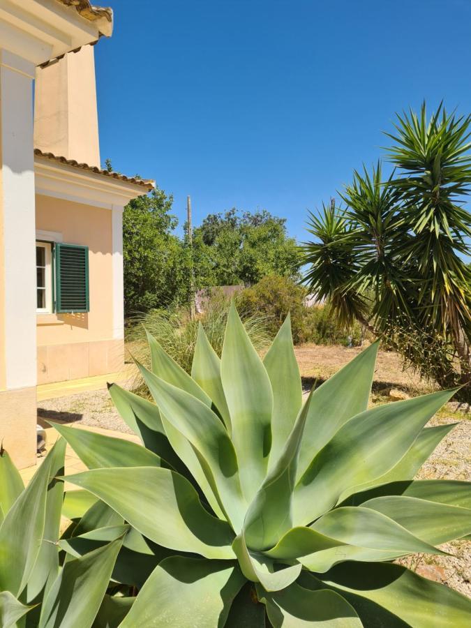 Bed and Breakfast Casa Dos Ventos Olhão Exteriér fotografie